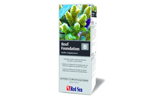 Red Sea Reef Foundation B